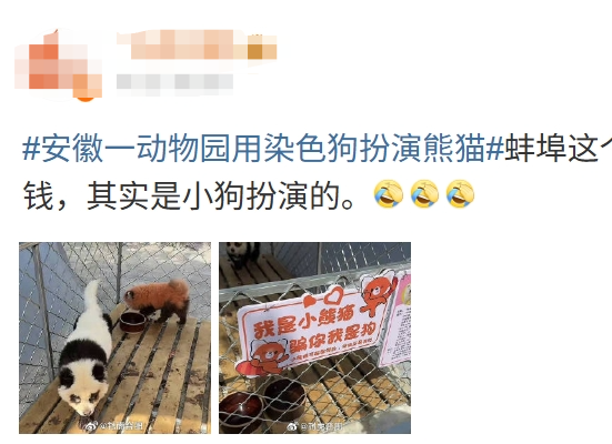 近日,安徽省蚌埠市一動物園給小狗染色冒充熊貓,誤導遊客。(網頁截圖)