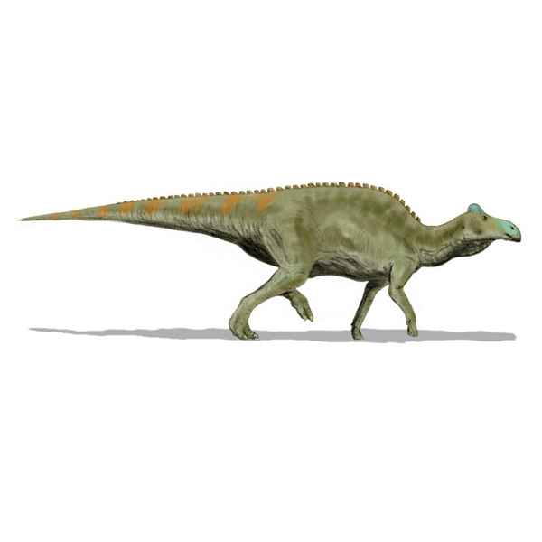 罕見「恐龍木乃伊」身上驚見遠古鱷魚咬痕