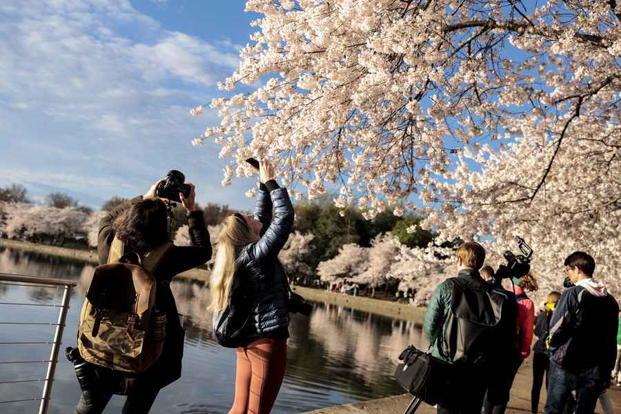 楚一丁：黨主抗疫與民主抗疫之面面觀