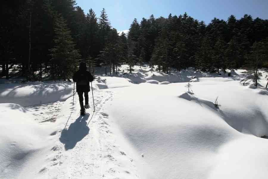 寒冬北海道 健走野騎深度遊