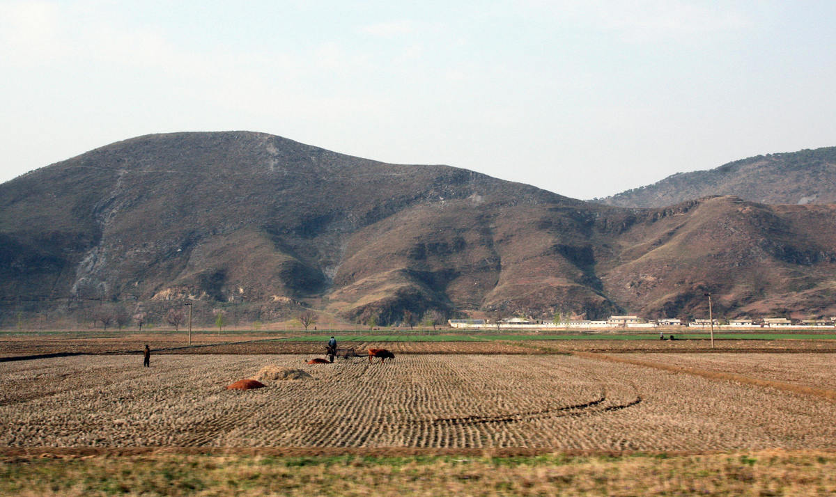 日本亞洲新聞社報道說，北韓農民耗盡了去年分配的糧食，已出現饑荒跡象。圖為2007年4月25日，北韓開城的農田。（AFP/Getty Images）