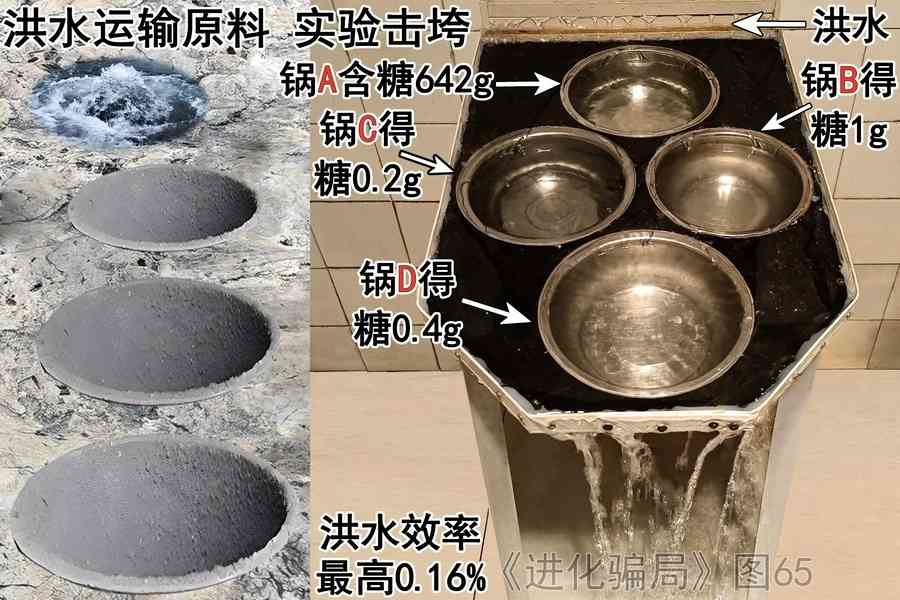 進化騙局（20） 進化論力捧 一鍋論現形（下）