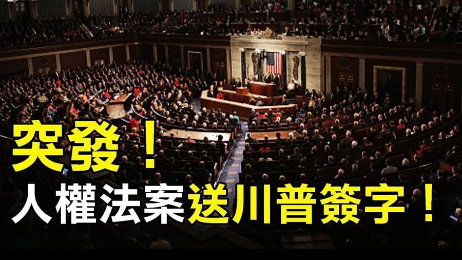 【熱點互動】美國會為何火速通過香港法案？