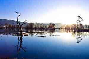 楊絳的苟且與執念再議