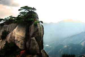 人生得遇——「神醫李雲風」傳奇