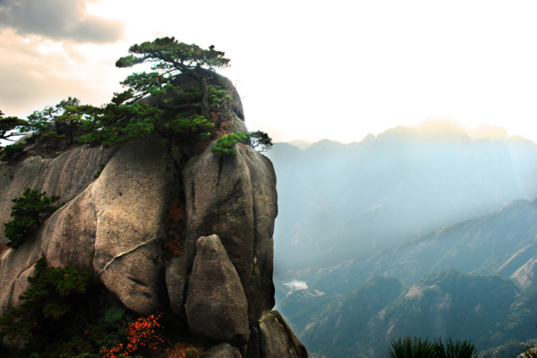 人生得遇——「神醫李雲風」傳奇