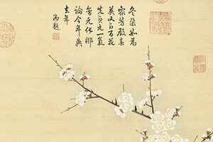 神奇的藥方