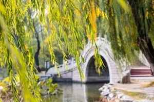 【古道人生】窮書生如何娶得家資數萬的賣藝女子？