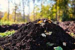 【名家專欄】食品是否安全 讓蚯蚓來決定吧