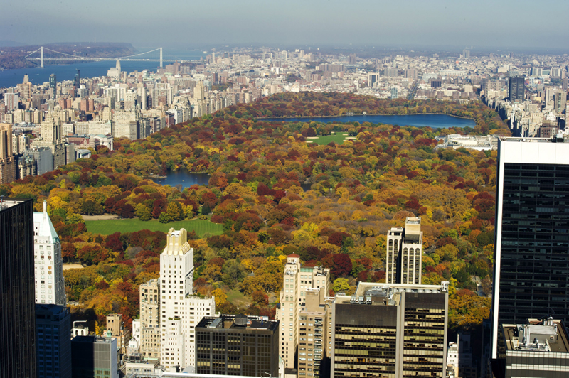 紐約中央公園周圍的豪宅受到全球買家的追捧。（戴兵／大紀元）