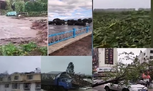 【影片】受颱風影響 東北狂風驟雨 嫩江現洪水