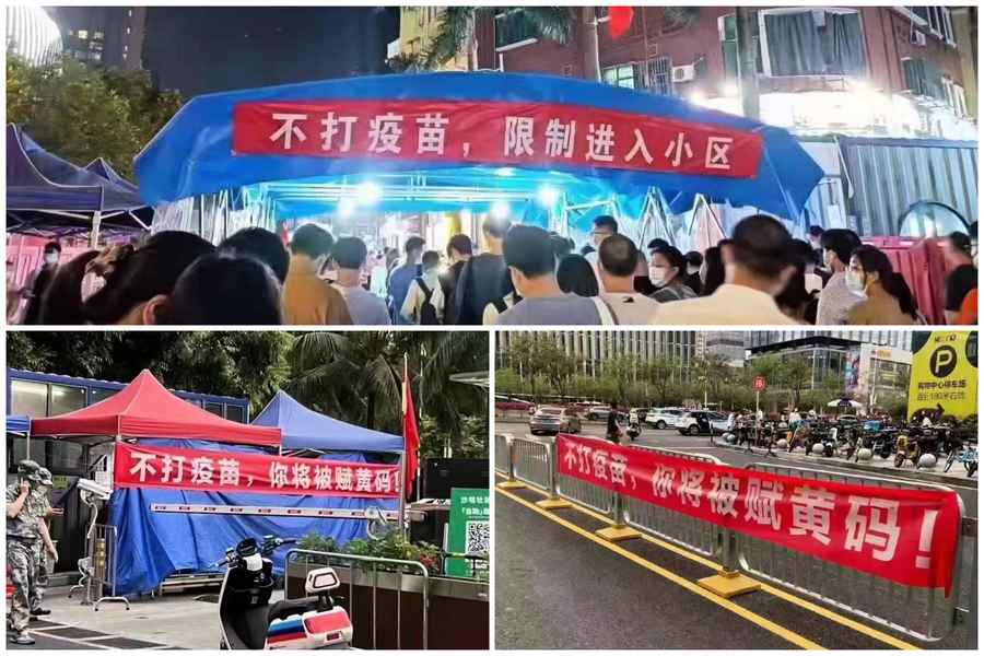 深圳女醫生投訴街道強制打疫苗 遭警方傳喚