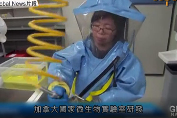 被加拿大解僱的傳染病科學家邱香果已在中國