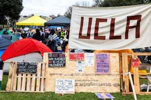 1500餘學生面臨遣返 律師忠告中國留學生