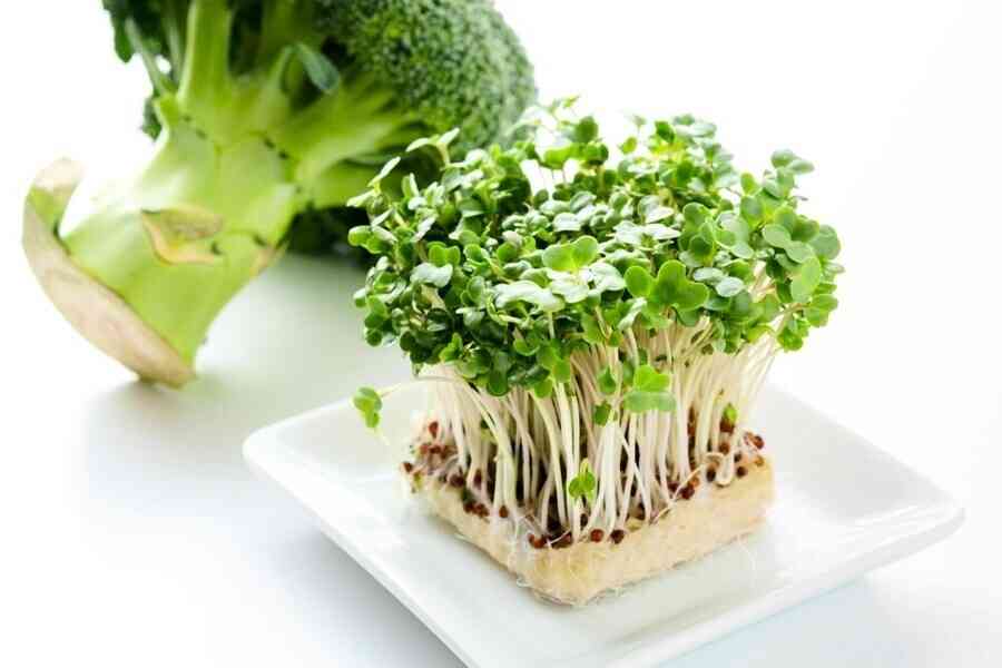 對抗癌症 西蘭花怎麼吃才最有效？