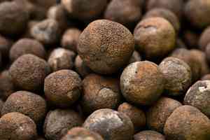 研究：深海採礦是擺脫中共壟斷的關鍵