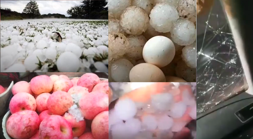 【現場影片】山東重慶降冰雹 有的大如雞蛋
