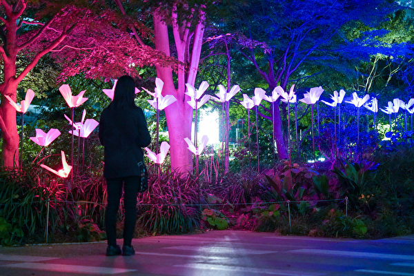 2023年11月13日,日本東京,虎之門燈光藝術展(Toranomon Light Art)期間,現場展示由意大利的工作室「依瑟和赫梅拉」(Aether & Hemera)創作的燈光藝術作品「乘著自由的翅膀」(On the Wings of Freedom)。(Christopher Jue/Getty Images)