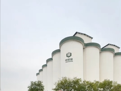 山東中儲糧倉庫坍塌致7死事故違規細節曝光