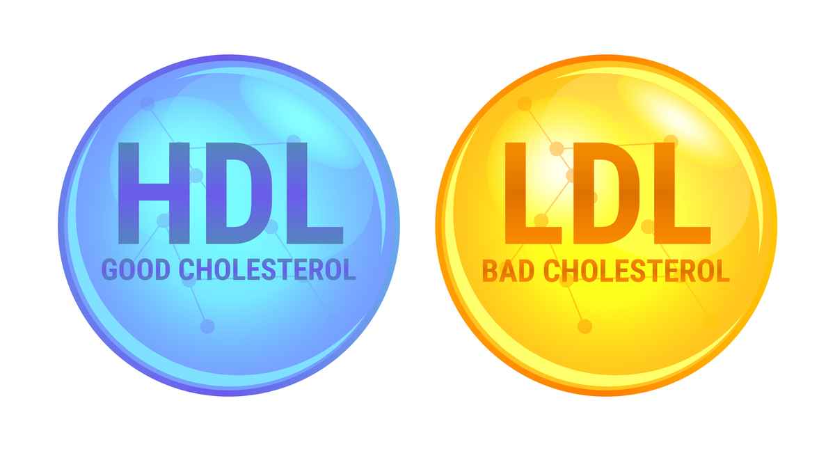 高密度脂蛋白（HDL）和低密度脂蛋白（LDL）膽固醇示意圖。（Shutterstock）