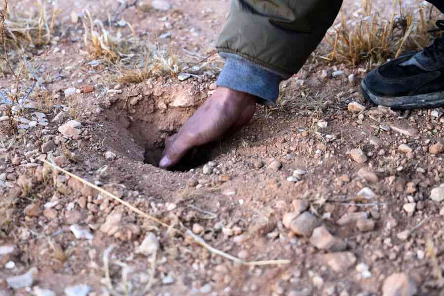 敘利亞就阿薩德統治時期萬人坑展開刑事調查