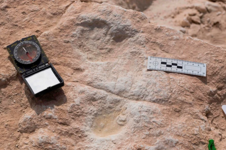 沙特沙漠地區發現12萬年前人類腳印