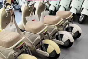 國補取消 火災頻發 大陸電動單車銷量暴跌