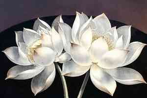 奇異救贖——這世上另一個我