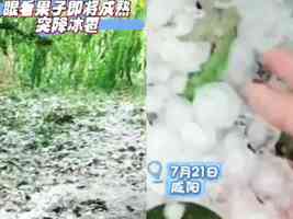 咸陽多地突降冰雹 果農恐血本無歸