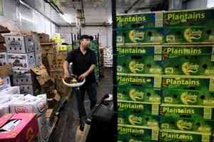 特朗普降低咖啡牛油果等多種食品進口關稅