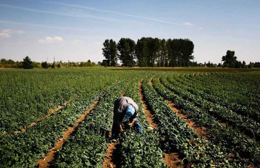 蒙大拿州參議員籲禁止中資購買美國農地