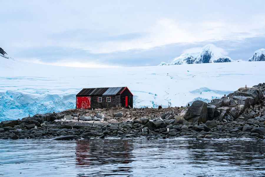 南極郵局招人 6000求職者 4人競聘成功