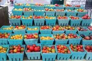 大陸番茄價格飆升 部份地區上漲十倍