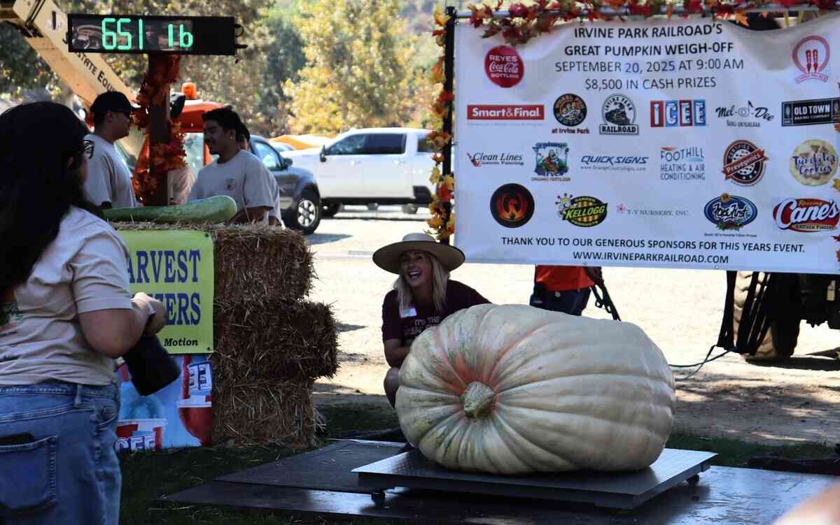 2025年9月20日,第10屆年度種植南瓜稱重大賽(Great Pumpkin Weigh-Off)在爾灣地區公園(Irvine Regional Park)舉辦。圖為來自森林湖(Lake Forest)的珍妮特·奧法奧蘭(Janet O'Faolain)女士種出重651磅的南瓜。(李梅/大紀元)