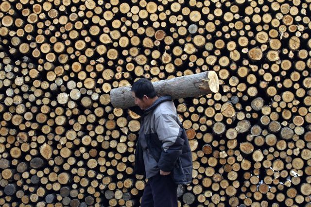 大陸木材價格漲不停 部份傢俬廠被迫關門