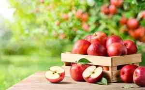 順著春天的節奏吃 丙午年的蘋果養生觀