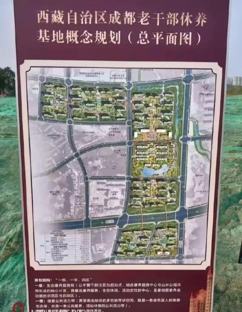 (網絡圖片)