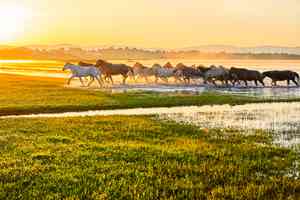 岳飛說馬和唐太宗用人