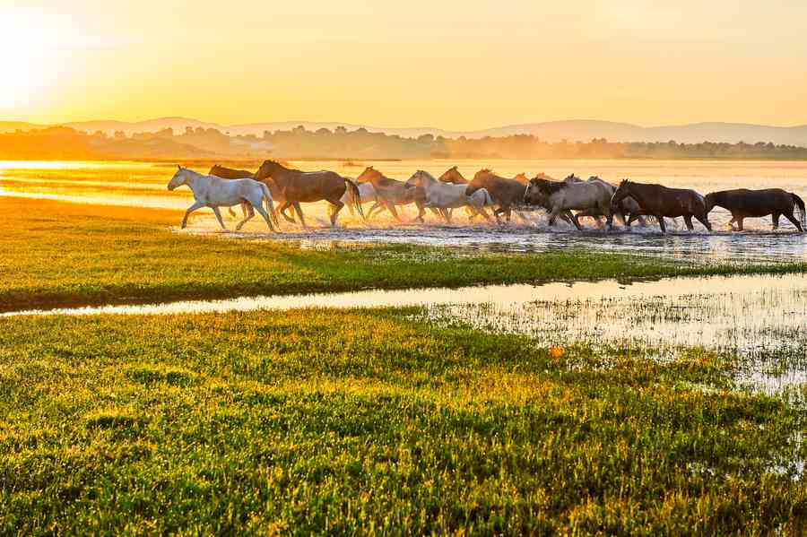 岳飛說馬和唐太宗用人