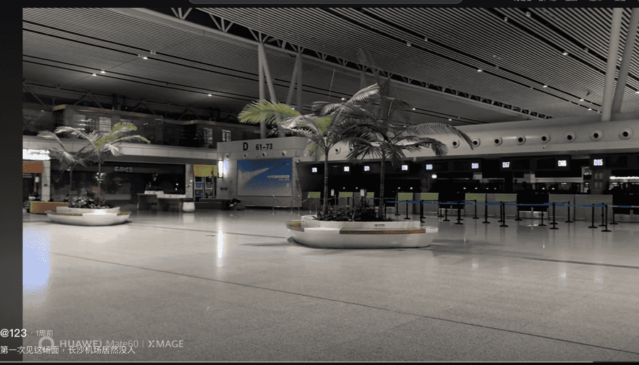 中國多地國際機場空蕩蕩 網民震驚發影片