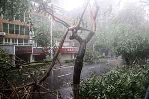 受颱風杜蘇芮影響 北京撤離逾三千人