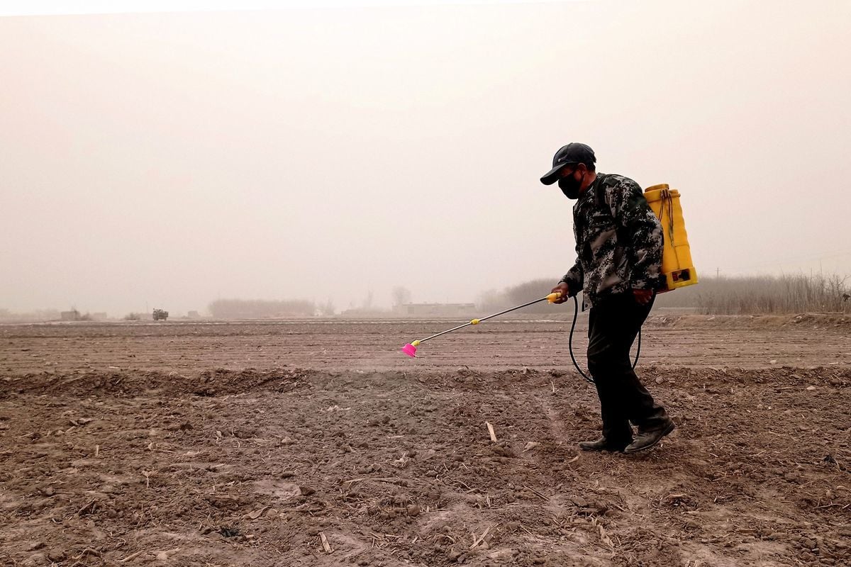 2021年3月16日，中國甘肅省張掖市，一名農民於霧霾中在田地裏噴灑農藥。（STR/AFP via Getty Images）