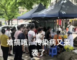 佛山基孔肯雅熱疑涉瞞報 村民6月初已感染