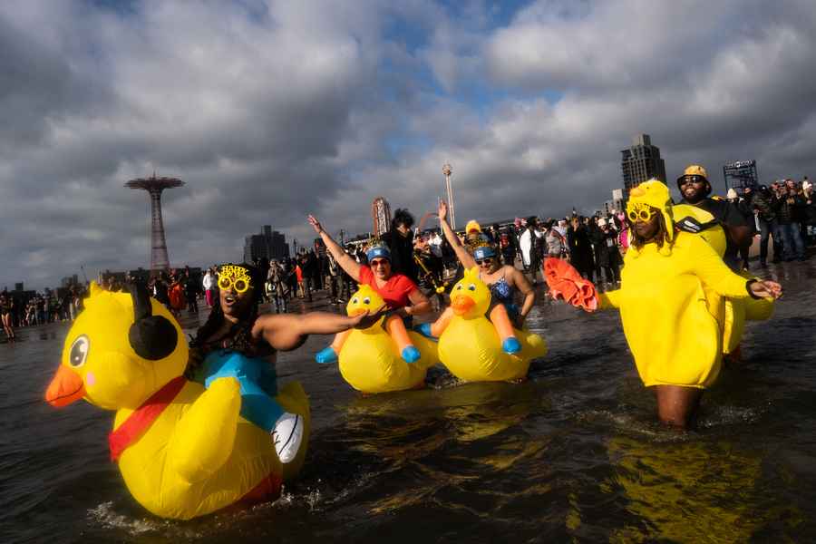 紐約市康尼島北極熊冬泳 數千人喜迎新年