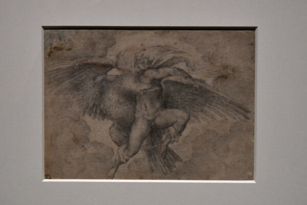但丁  傳統上認為是米高安哲羅的作品《劫持蓋尼米得》（The Rape of Ganymede），1533年後。炭筆、紙，7 x 9.8吋。（Fabio Blaco/The Uffizi Galleries/烏菲茲美術館）