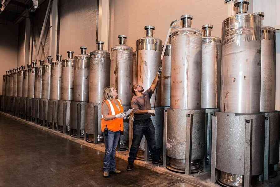 美國一核處理基地驚現具放射性黃蜂巢 引關注
