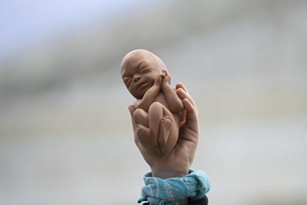 2021年11月1日，美國最高法院外，一名反墮胎示威者舉起一個胎兒模型。（Drew Angerer/Getty Images）