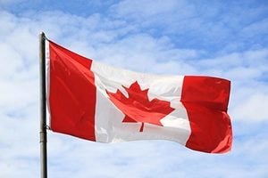 自稱習近平翻譯 大陸女申請移民加拿大被拒