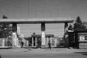 被中共監獄迫害致瘋的兩位法輪功學員