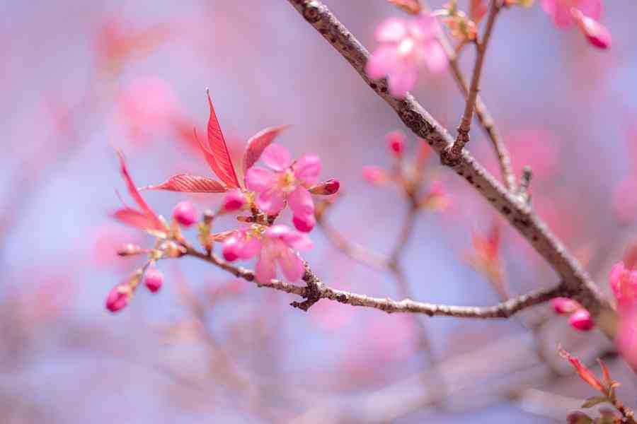 浮生行吟：如期而至